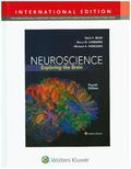 Bear / Connors / Paradiso |  Neuroscience, International Edition | Buch |  Sack Fachmedien