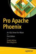 Magham / Akhtar |  Pro Apache Phoenix | Buch |  Sack Fachmedien