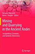 Vaughn / Tripcevich |  Mining and Quarrying in the Ancient Andes | Buch |  Sack Fachmedien