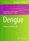 Padmanabhan / Vasudevan |  Dengue | Buch |  Sack Fachmedien