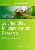Simon / Kumar |  Salamanders in Regeneration Research | Buch |  Sack Fachmedien