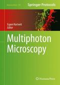 Hartveit |  Multiphoton Microscopy | Buch |  Sack Fachmedien