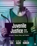 Cox / Allen / Hanser |  Juvenile Justice | eBook | Sack Fachmedien