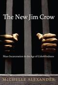Alexander |  The New Jim Crow | Buch |  Sack Fachmedien