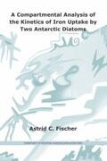 Fischer |  A Compartmental Analysis of the Kinetics of Iron Uptake by Two Antarctic Diatoms | Buch |  Sack Fachmedien