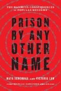 Schenwar / Law |  Prison by Any Other Name | eBook | Sack Fachmedien