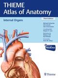 Schuenke / Cass / Schulte |  Internal Organs (THIEME Atlas of Anatomy) | Buch |  Sack Fachmedien