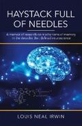 Irwin |  Haystack Full of Needles | eBook | Sack Fachmedien