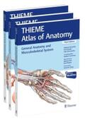 Schünke / Schulte / Schumacher |  THIEME Atlas of Anatomy, Three Volume Set, Third Edition | Buch |  Sack Fachmedien