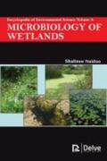 Naidoo |  Encyclopedia of Environmental Science Vol 4: Microbiology of Wetlands | Buch |  Sack Fachmedien