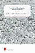 Schmidt / Esplugues / Arenas Garcia |  EU Law after the Financial Crisis | Buch |  Sack Fachmedien
