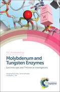 Hille / Schulzke / Kirk |  Molybdenum and Tungsten Enzymes: Spectroscopic and Theoretical Investigations | Buch |  Sack Fachmedien