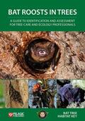 Bat Tree Habitat Key |  Bat Roosts Trees: Guide Identification | Buch |  Sack Fachmedien