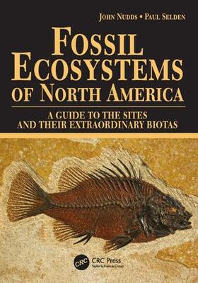 Selden / Nudds | Fossil Ecosystems of North America | Buch | sack.de