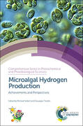 Seibert / Torzillo |  Microalgal Hydrogen Production: Achievements and Perspectives | Buch |  Sack Fachmedien