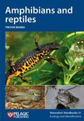 Beebee |  Amphibians and reptiles | Buch |  Sack Fachmedien
