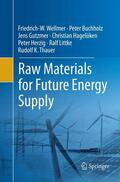 Wellmer / Buchholz / Gutzmer |  Raw Materials for Future Energy Supply | Buch |  Sack Fachmedien