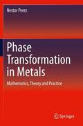 Perez |  Phase Transformation in Metals | Buch |  Sack Fachmedien