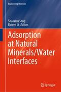 Li / Song |  Adsorption at Natural Minerals/Water Interfaces | Buch |  Sack Fachmedien