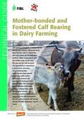 Spengler Neff / Ivemeyer / Schneider |  Mother-bonded and Fostered Calf Rearing in Dairy Farming | Buch |  Sack Fachmedien