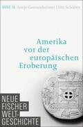 Gunsenheimer / Schüren |  Neue Fischer Weltgeschichte. Band 16 | eBook | Sack Fachmedien
