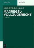 Kammeier / Pollähne |  Maßregelvollzugsrecht | Buch |  Sack Fachmedien