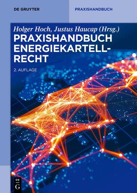 Hoch / Haucap | Praxishandbuch Energiekartellrecht | Buch | sack.de