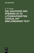 Gurlt |  Die Anatomie des Pferdes in 70 litographierten Tafeln, mit erklärendem Text | eBook | Sack Fachmedien