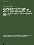 Kahlke |  Die Cervidenresie aus den Altpleistozänen Sanden von Mosbach (Biebrich-Wiesbaden), Teil 1: Die Geweihe, Gehörne und Gebisse | Buch |  Sack Fachmedien