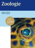 Wehner / Gehring |  Zoologie | eBook | Sack Fachmedien
