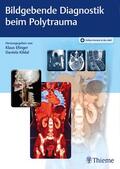 Efinger / Kildal |  Bildgebende Diagnostik beim Polytrauma | Buch |  Sack Fachmedien