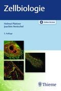 Hentschel / Plattner |  Zellbiologie | Buch |  Sack Fachmedien
