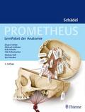 Lüthje / Schulte / Schünke |  PROMETHEUS LernPaket Anatomie Schädel | Buch |  Sack Fachmedien