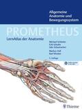 Schulte / Schünke / Schumacher |  PROMETHEUS Allgemeine Anatomie und Bewegungssystem | Buch |  Sack Fachmedien