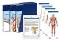 Schünke / Schulte / Schumacher |  PROMETHEUS LernPaket Anatomie | Buch |  Sack Fachmedien