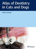 Eickhoff |  Atlas of Dentistry in Cats and Dogs | eBook | Sack Fachmedien