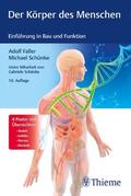 Faller / Schünke |  Der Körper des Menschen | Buch |  Sack Fachmedien