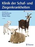 Bostedt / Ganter / Hiepe |  Klinik der Schaf- und Ziegenkrankheiten | Buch |  Sack Fachmedien