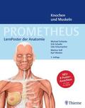 Schünke / Schulte / Schumacher |  PROMETHEUS LernPoster der Anatomie, Knochen und Muskeln | Sonstiges |  Sack Fachmedien