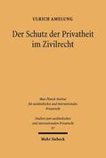 Amelung |  Der Schutz der Privatheit im Zivilrecht | eBook | Sack Fachmedien