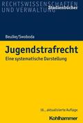 Beulke / Swoboda |  Jugendstrafrecht | eBook | Sack Fachmedien