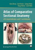 Zboray / Kovács / Pálfia |  Atlas of Comparative Sectional Anatomy of 6 invertebrates and 5 vertebrates | Buch |  Sack Fachmedien