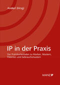 Anderl |  IP in der Praxis | Buch |  Sack Fachmedien