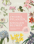 Wilford |  Zwiebelpflanzen & Knollenblumen | Buch |  Sack Fachmedien