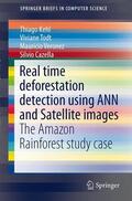 Nunes Kehl / Todt / Roberto Veronez |  Real time deforestation detection using ANN and Satellite images | Buch |  Sack Fachmedien