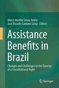 Caetano Costa / Serau Junior / Serau |  Assistance Benefits in Brazil | Buch |  Sack Fachmedien