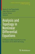 de Figueiredo / Tomei / do Ó |  Analysis and Topology in Nonlinear Differential Equations | Buch |  Sack Fachmedien