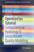 Sachse / Nixdorf / Jang |  OpenGeoSys Tutorial | eBook | Sack Fachmedien