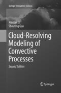 Gao / Li |  Cloud-Resolving Modeling of Convective Processes | Buch |  Sack Fachmedien