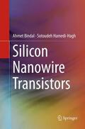 Hamedi-Hagh / Bindal |  Silicon Nanowire Transistors | Buch |  Sack Fachmedien